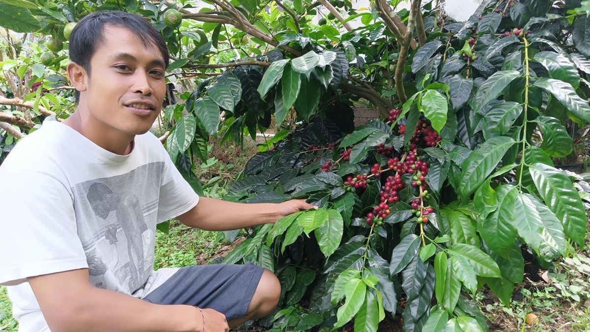 Bali Coffee Garden